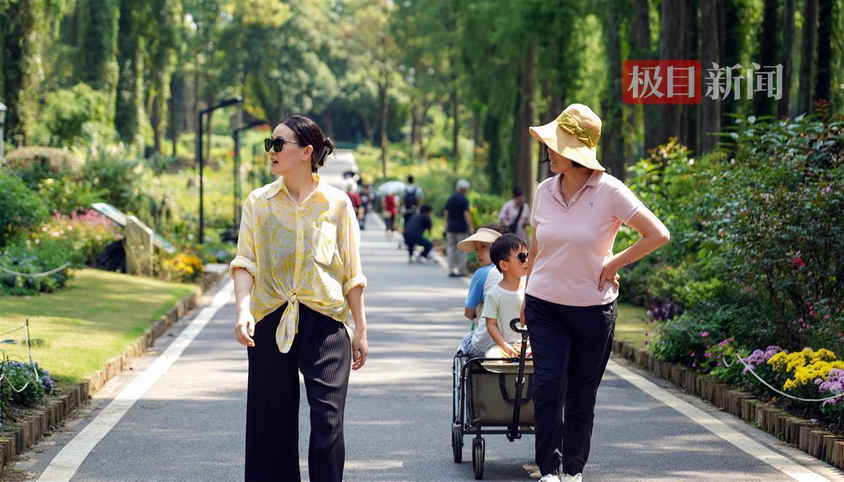 集结号官网首页